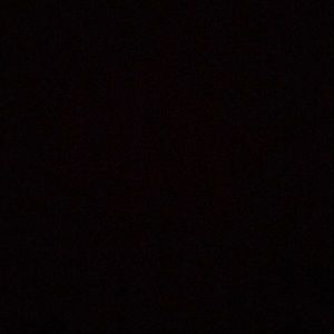 Meet your Posher, Ophelia